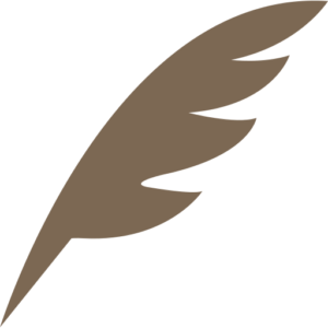 Transfert d'aéroport, Nos services